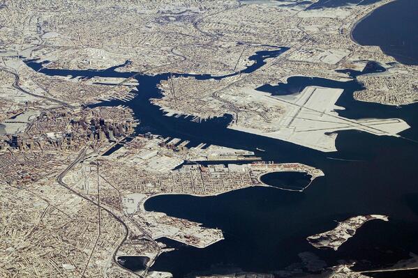 boston-nemo.jpg