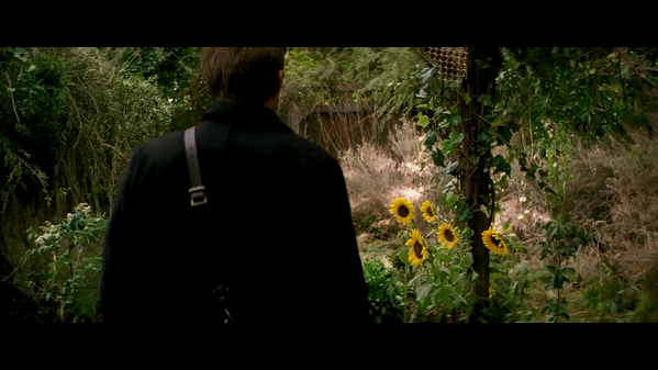 TRANSCENDENCE-stupid-sunflower-garden-ending.png