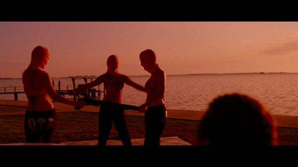 spring-breakers-shotgun-dance.png